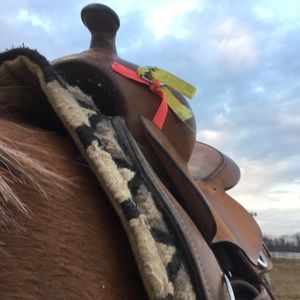 Meet your Posher, Allie